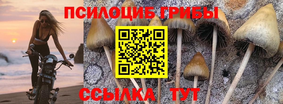 Сланцы  Псилоцибиновые грибы Magic Shrooms  Вход с VPN 